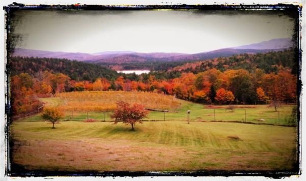 Haunting Whisper Vineyard & Spirits