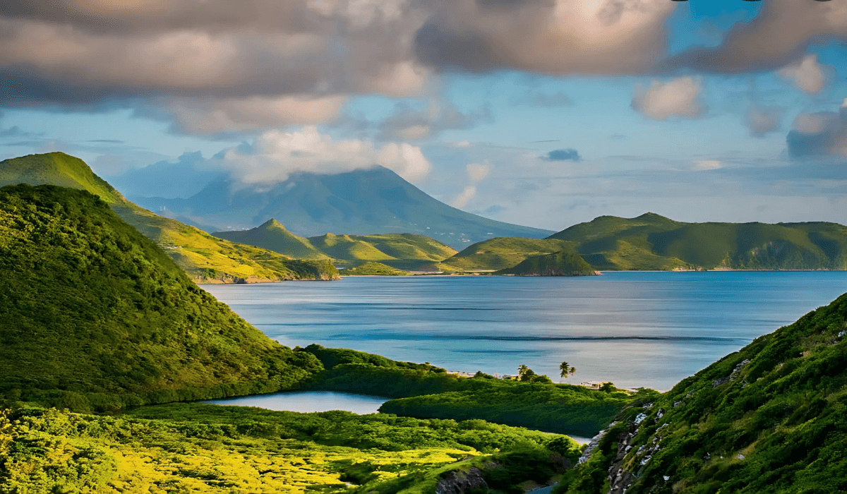 The Island of St. Kitts.