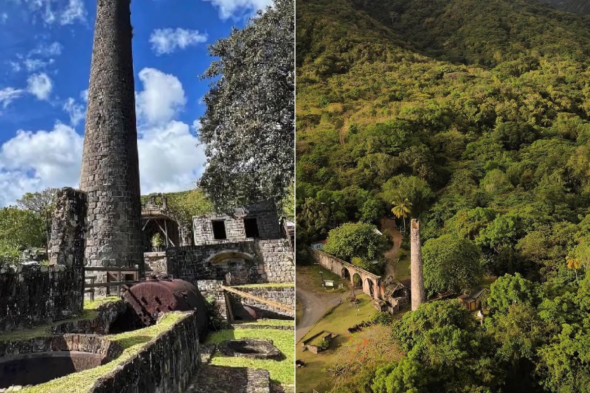 The Distillery Landscape