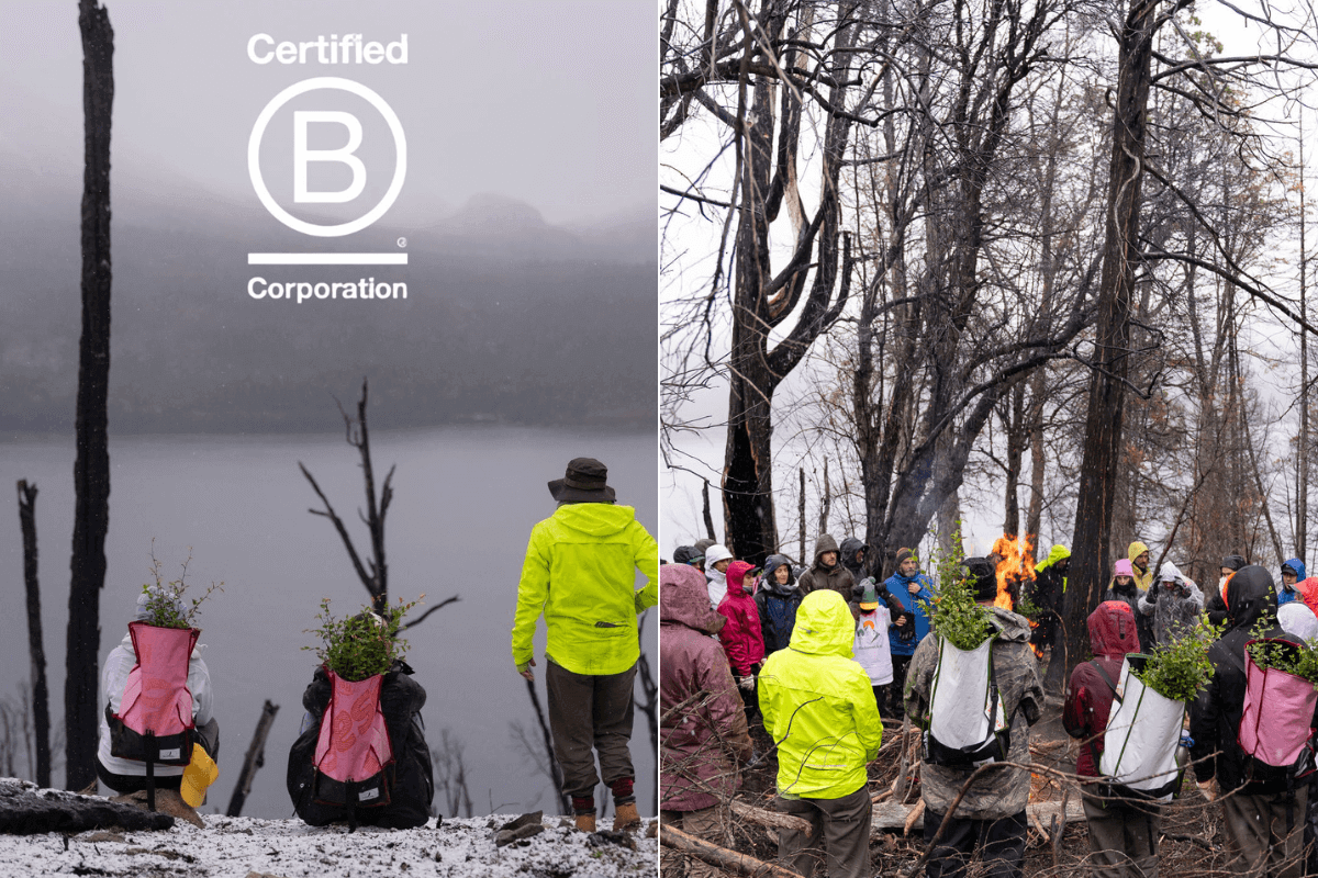 Bosque reforestation trip