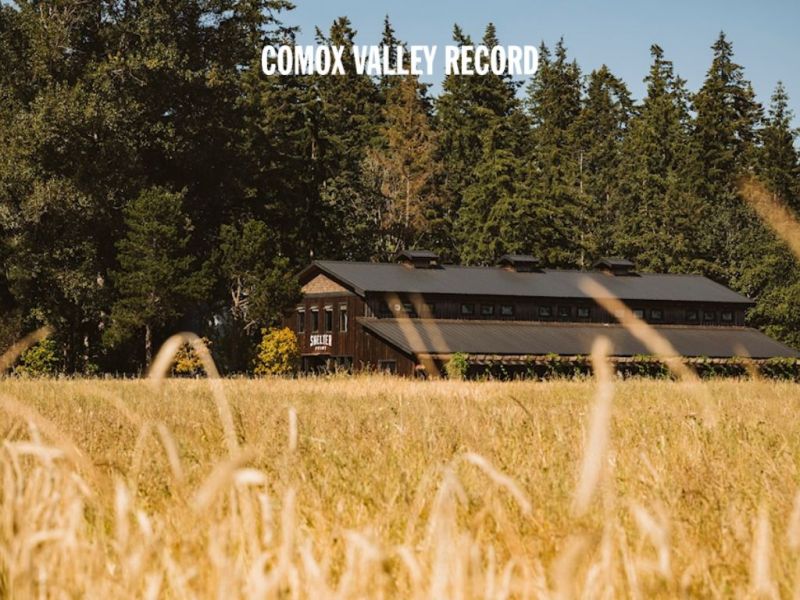 Photo for: Shelter Point Distillery wins big at Bartender Spirits Awards